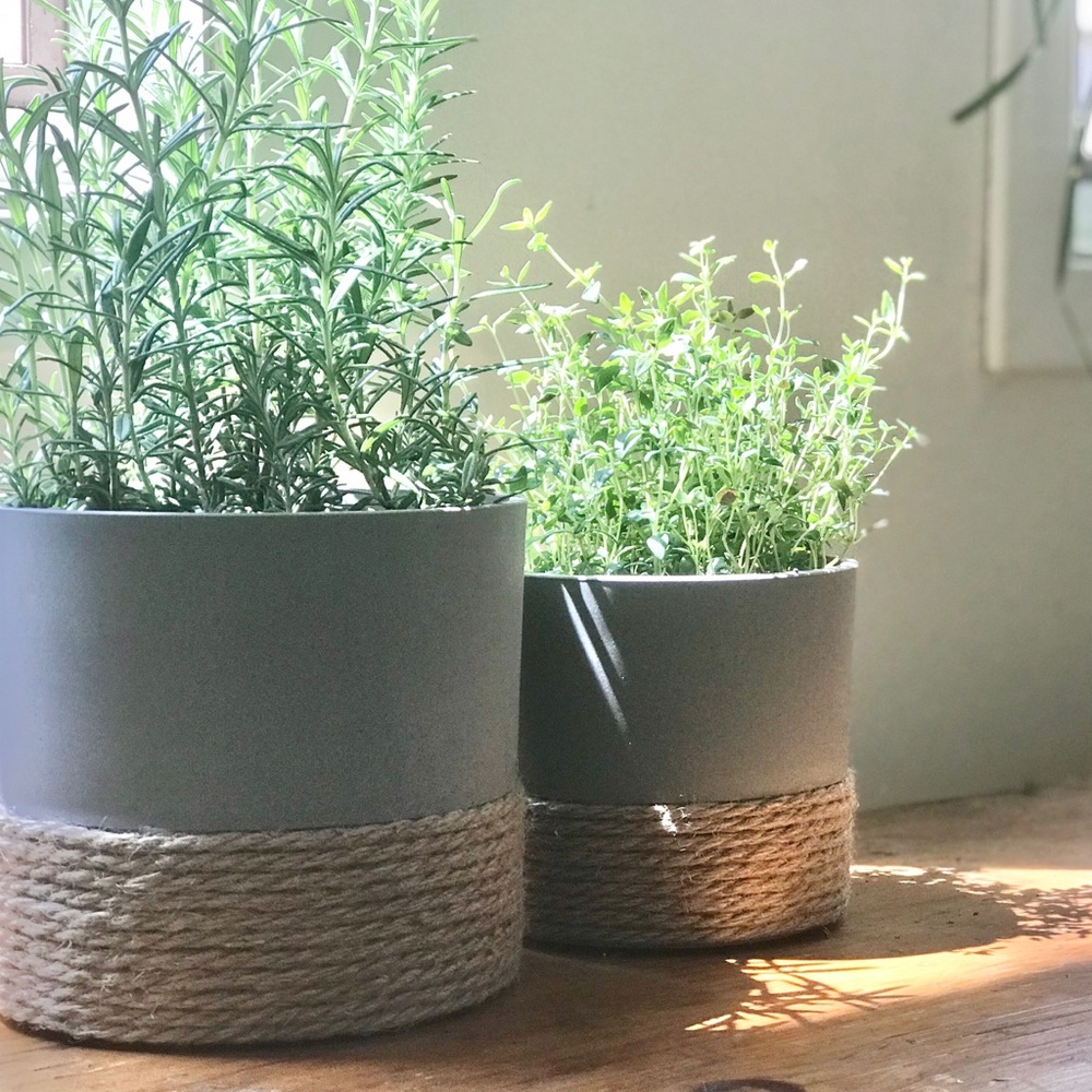 Flower Pot - Picture 6 of 6